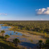 Cerrado’s current drought impossible without human-caused climate change: Study