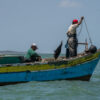 Peruvian bills could imperil marine biodiversity & artisanal fishing, experts say