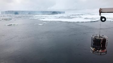 Sensor-Equipped Seals Uncover New Seawater Pathways Around Antarctica