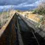 Drought in Sicily threatens grain fields, animal herds