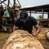 Amazon Fraud 101: How timber credits mask illegal logging in Brazil