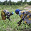 Resilient women farmers in Chad battle climate challenges and social barriers