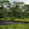 Petroperú’s financial troubles could mean no oil spill remediation, communities fear