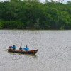 Brazil’s ‘Mothers of the Mangroves’ protect an ecological and cultural heritage