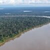 New datasets identify which crops deforest the Amazon, and where