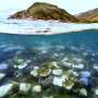 Australia tackles poor Great Barrier Reef water quality