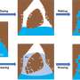 Decoding contaminant mobility: Transient flows and e-waste pollution dynamics