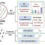 Field observations reveal microplastic transfer in marine planktonic food chains
