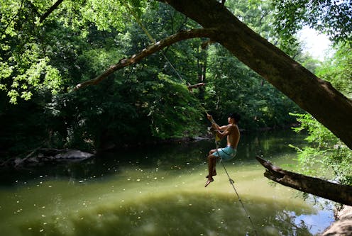 4 ways Wissahickon Valley Park makes Philly more resilient against climate change