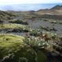 First fuel spill clean-up targets identified for Macquarie Island