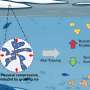 Getting trapped in freshwater ice changes microplastics’ sink-or-swim tendencies