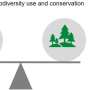 How to bend the curve of biodiversity loss? New analytical framework provides answers