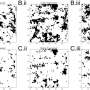 Landscape fragmentation overturns classical metapopulation thinking