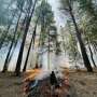 Less severe forest fires can reduce intensity of future blazes