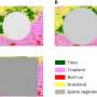 Machine learning and better radar solve the ‘cloud cover’ problem