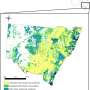 More than half of NSW’s forests and woodlands are gone as ongoing logging increases extinction risks