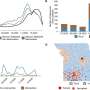 New COVID-19 research provides insights on variant spread in Missouri, patient outcomes