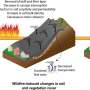 Researchers develop post-wildfire landslide susceptibility model