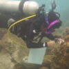 In Mexico, scientists race to save Marietas Islands’ corals from ocean warming