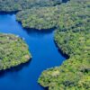 Clearest picture yet of Amazon carbon density could help guide conservation