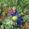 In Cameroon, forest and water source restoration offers sustainable solutions