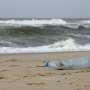 Citizen scientists help discover microplastics along the entire German coastline