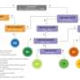 Future climate change predicted to shift flood-generating mechanisms and intensify extreme flooding events