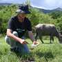 Greenpeace sounds alarm on microplastics ingested by Hong Kong wildlife