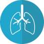 Long COVID inflicts deep scars on the lungs. Targeting specific immune cells could reverse damage