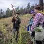 Volunteers help seedlings take root as New Mexico attempts to recover from historic wildfire