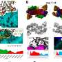 New study highlights importance of targeting unchanging parts of COVID-19 virus