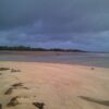 A nesting haven for sea turtles in Suriname is fading away