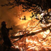 Forest fires rage across South America, devastating the Amazon and beyond