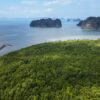 Thailand’s budding mangrove restoration plans spark both hope and concern