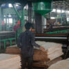 Cambodian logging syndicate tied to major U.S. wood flooring supply chains