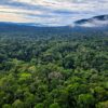 In Costa Rica, sustainable tourism is no longer enough for conservation