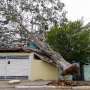 Eight dead as heavy rain thrashes Brazil after long drought