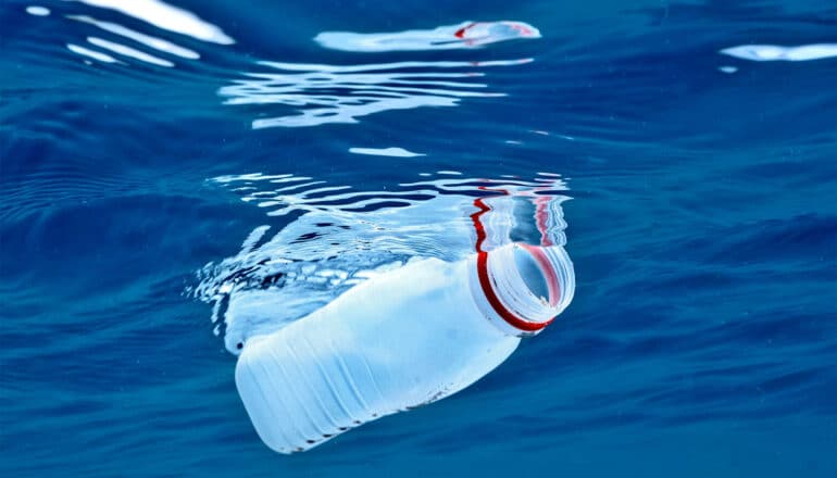 Mussels inspire sticky way to clean up plastic waste