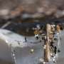 How harmful are microplastics to human health?