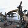The growing scourge of plastic pollution: in numbers