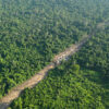 New transmission lines cut a Cambodian rainforest sanctuary in half