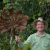 $250k prize awarded in honor of ‘father of biodiversity’ Thomas Lovejoy