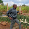 A Kenya water fund partners with farmers to protect vital resources