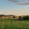 In Bolivia’s flooded savannas, ranching aims to boost grasslands conservation