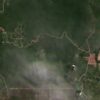 Satellite data detect appearance of new roads in primary forests in Borneo