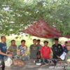 Six activists arrested in Cambodia while investigating illegal logging