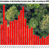 Amazon deforestation in Brazil plunges 31% to lowest level in 9 years