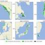 Worldwide assessment shows climate change threatens rare temperate rainforests