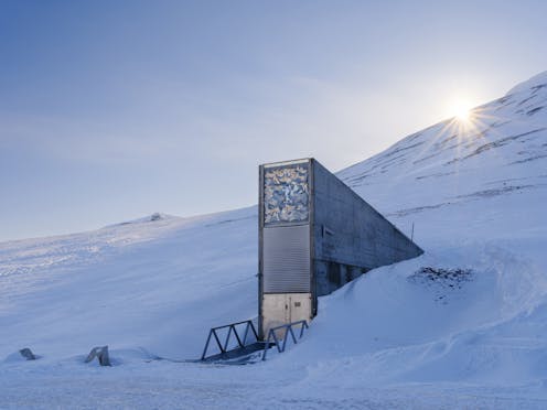 Svalbard Global Seed Vault evokes epic imagery and controversy because of the symbolic value of seeds