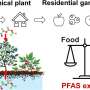 Garden produce grown near Fayetteville works fluorochemical plant contains GenX, other PFAS